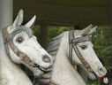 Wilhelmsbad horses